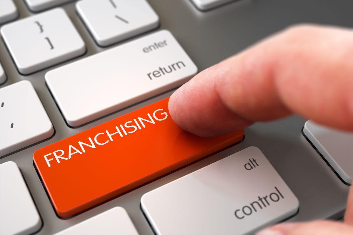 what is a franchise definition